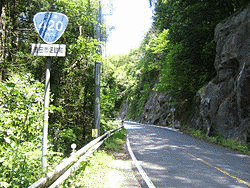 国道420号の画像