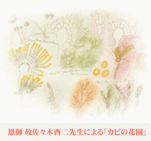 佐々木酉二の画像
