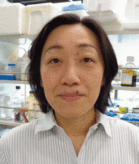 矢野環の画像