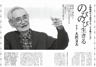 大沢文夫の画像