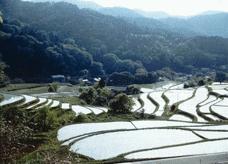 大山勝通の画像