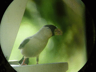 勝矢光昭の画像