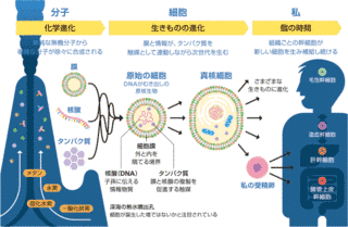 宝谷紘一の画像