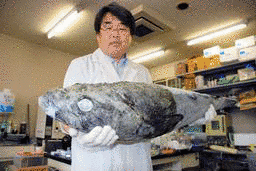 岩見哲夫の画像
