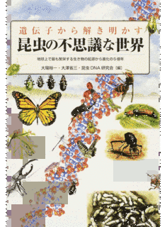 大澤省三の画像