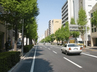 百年橋通りの画像