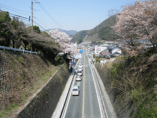 南部バイパスの画像