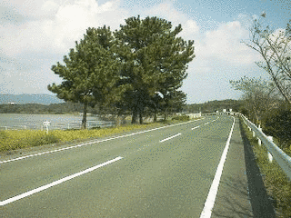 静岡県道の画像
