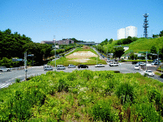 東京都道158号小山乞田線の画像