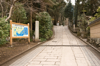 東京都道189号高尾山線の画像