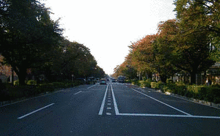 東京都道146号国立停車場谷保線の画像