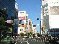 東京都道430号新宿停車場前線の画像