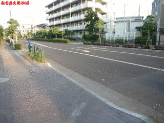 東京都道233号東大泉田無線の画像