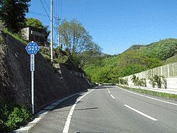 山梨県道の画像