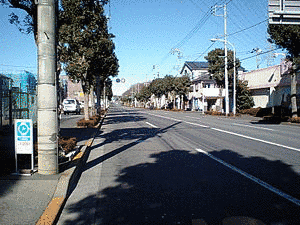 東京都道181号藤橋小作線の画像