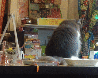 たぬぷ〜店長の画像