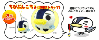 ぶんこちょの画像