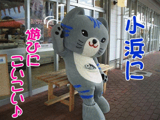 ななちゃんの画像