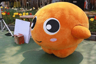 わんだくんの画像