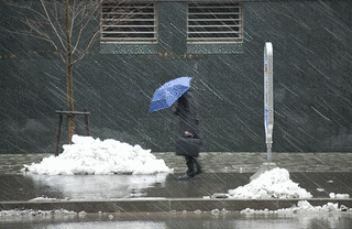 激しい雨の画像