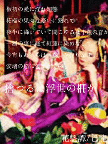 花魁譚の画像