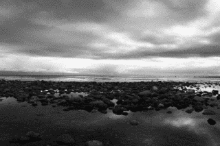 GREY SKIESの画像