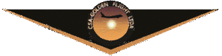 GOLDEN FLIGHTの画像