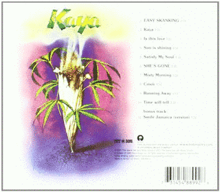 カヤの画像
