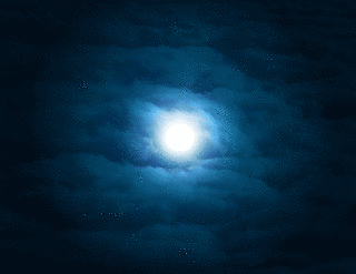 MOONY NIGHTの画像