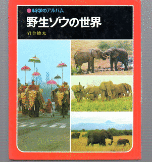 野生の画像
