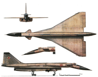 伝説の爆撃機の画像