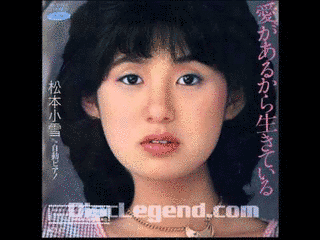 松本小雪の画像