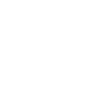 SEE THROUGHの画像