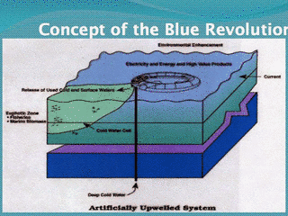 BLUE REVOLUTIONの画像