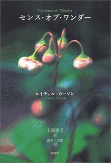 センス・オブ・ワンダーの画像