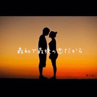 最初で最後の画像