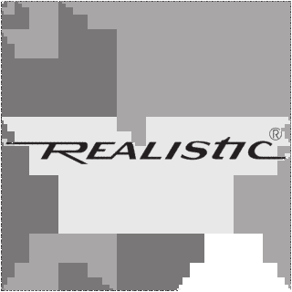 REALISTICの画像