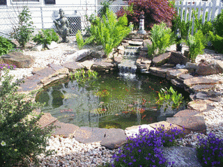 WATER GARDENの画像