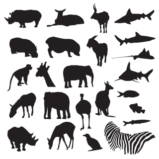WILDLIFEの画像