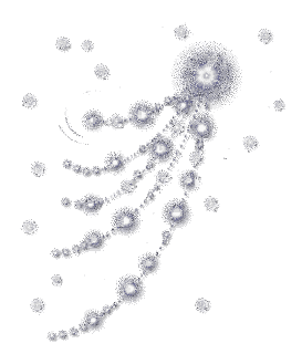 STAR LIGHTSの画像