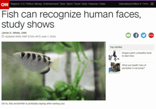 人間の顔の画像