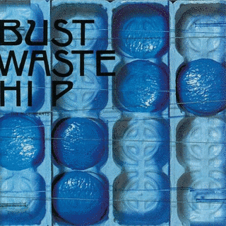 BUST WASTE HIPの画像
