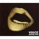 VOICEの画像