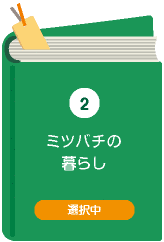 日曜日のミツバチの画像