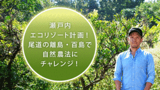 リゾート計画の画像