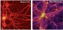 MIND UNIVERSEの画像