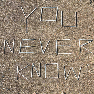 YOU NEVER KNOWの画像