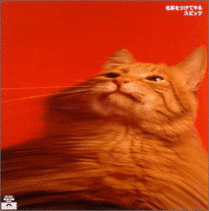名前をつけてやるの画像