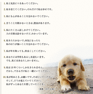 犬の約束の画像