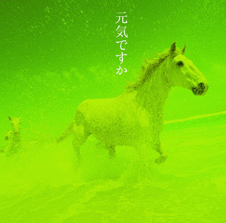 中島みゆき BEST SELECTION IIの画像